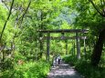 夏の穂高神社