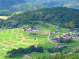 山里の夏 3 棚田の風景