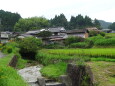 晩夏の山村集落