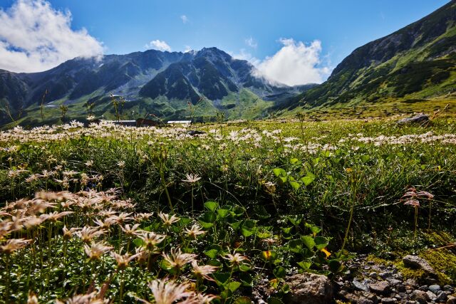 立山室堂