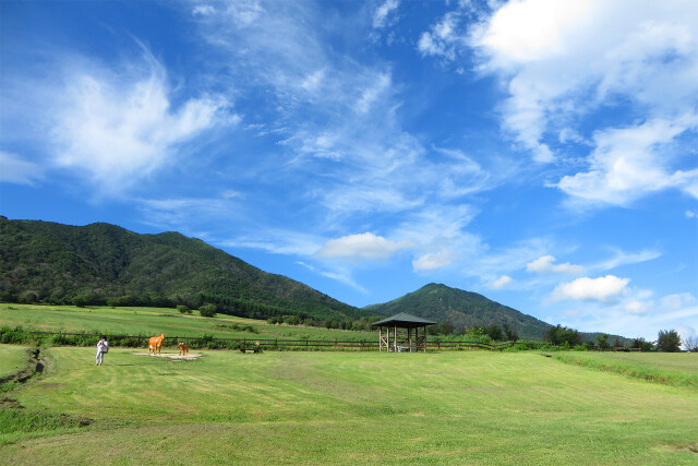 高原 牧場 夏 15