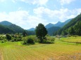 秋の里山