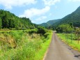 秋の里山