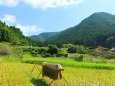 秋の里山