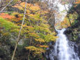 色付く季節6 紅葉の滝
