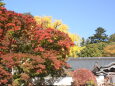 紅葉森と寺