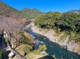 飛騨川by道の駅