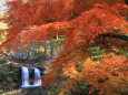 紅葉の向こうに小さな滝
