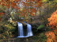 紅葉の風景