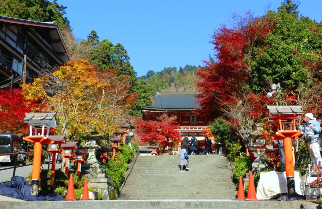 秋の鞍馬寺