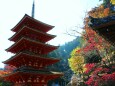 秋の奈良長谷寺