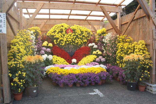 菊の庭