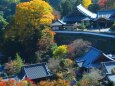 秋の奈良長谷寺