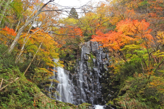 色付く季節24 滝と紅葉