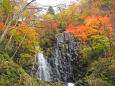 色付く季節24 滝と紅葉