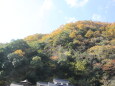 紅葉始めた山