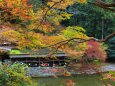 秋の京都高雄