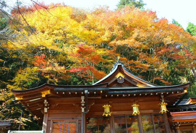 秋の貴船神社