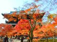 秋の南禅寺