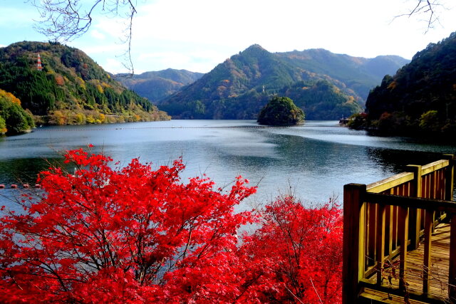 紅葉飾りの湖の展望台
