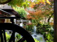 山寺で 庭の紅葉と水車と噴水