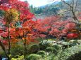 秋の醍醐寺