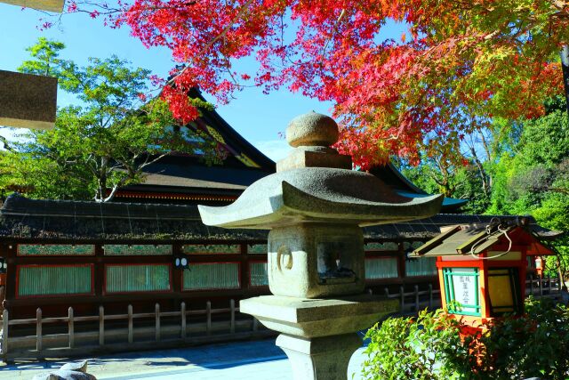 秋の八坂神社