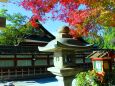 秋の八坂神社