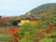 秋の金閣寺