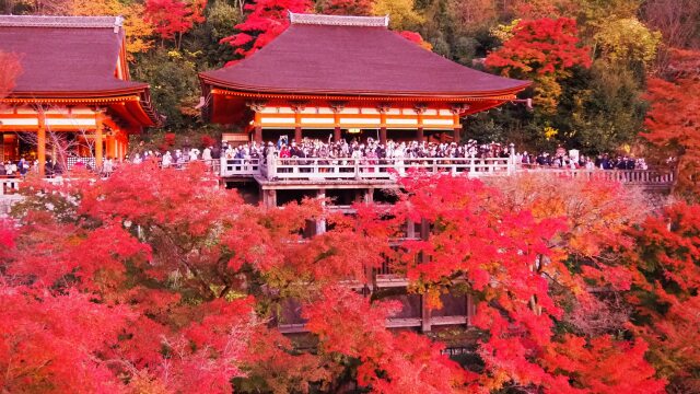 秋の清水寺