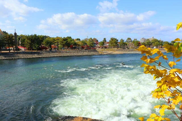 宇治川