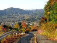 近づく冬 深まる秋の山道