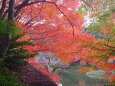 小石川後楽園の紅葉