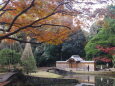 小石川後楽園 内庭と唐門