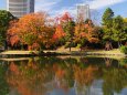 秋の浜離宮恩賜庭園