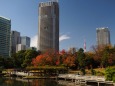 秋の浜離宮恩賜庭園