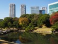 秋の浜離宮恩賜庭園