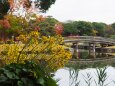 秋の浜離宮恩賜庭園