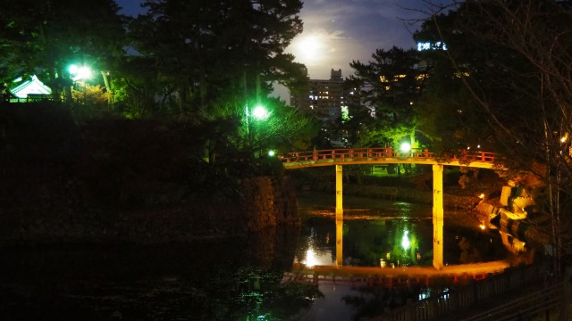 夜の岡崎公園