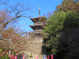 初冬17 安来 清水寺 三重塔