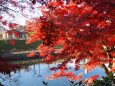 秋の岡崎公園