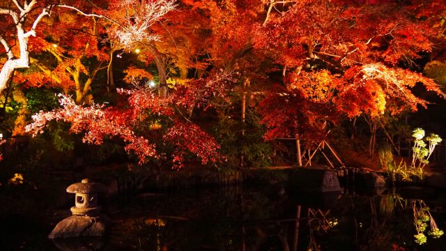 秋の夜の長谷寺
