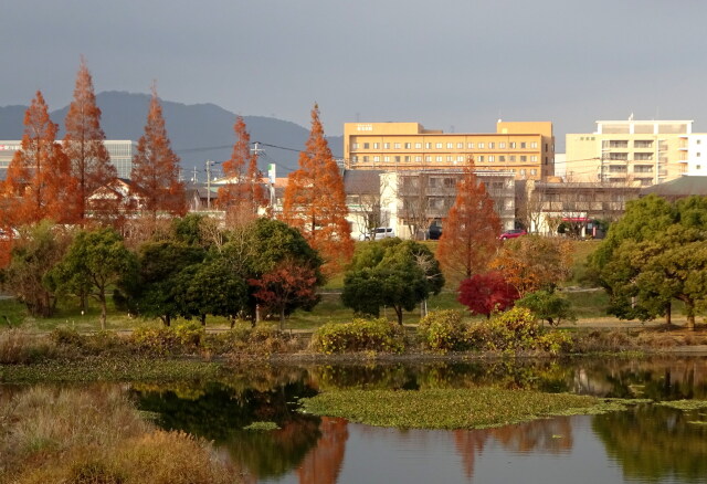 初冬の夕暮れ風景