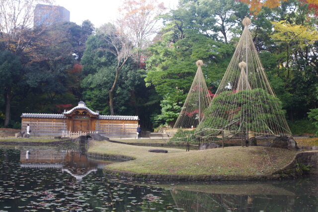 晩秋の小石川後楽園