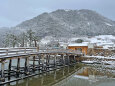 雪景色 鳥取城趾2