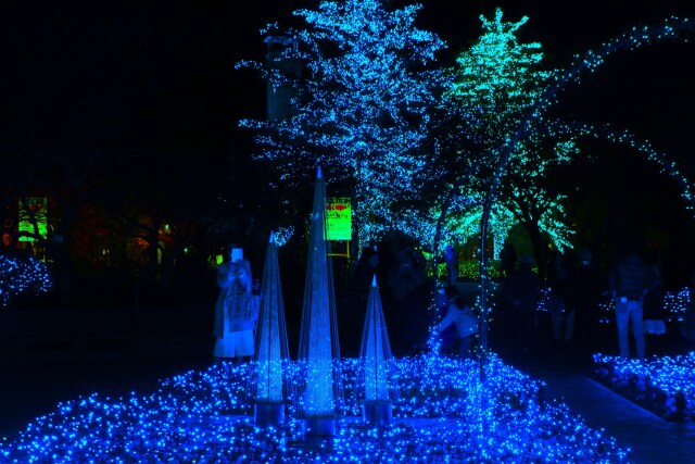 イルミネーション