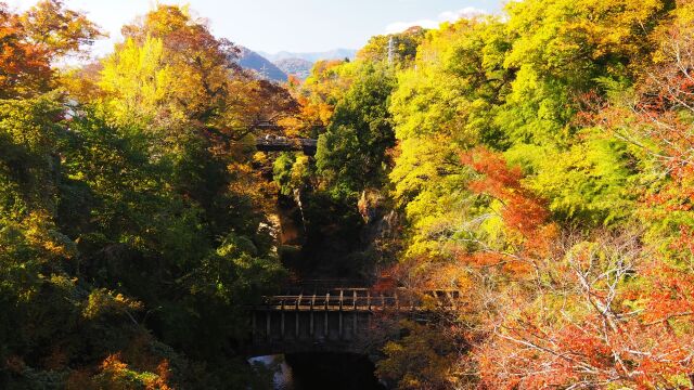 秋の猿橋