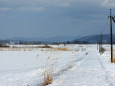 雪の田舎道