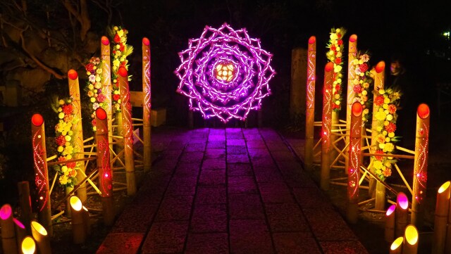 よみうりランド～HANAあかり