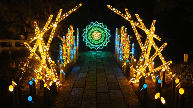 よみうりランド～HANAあかり